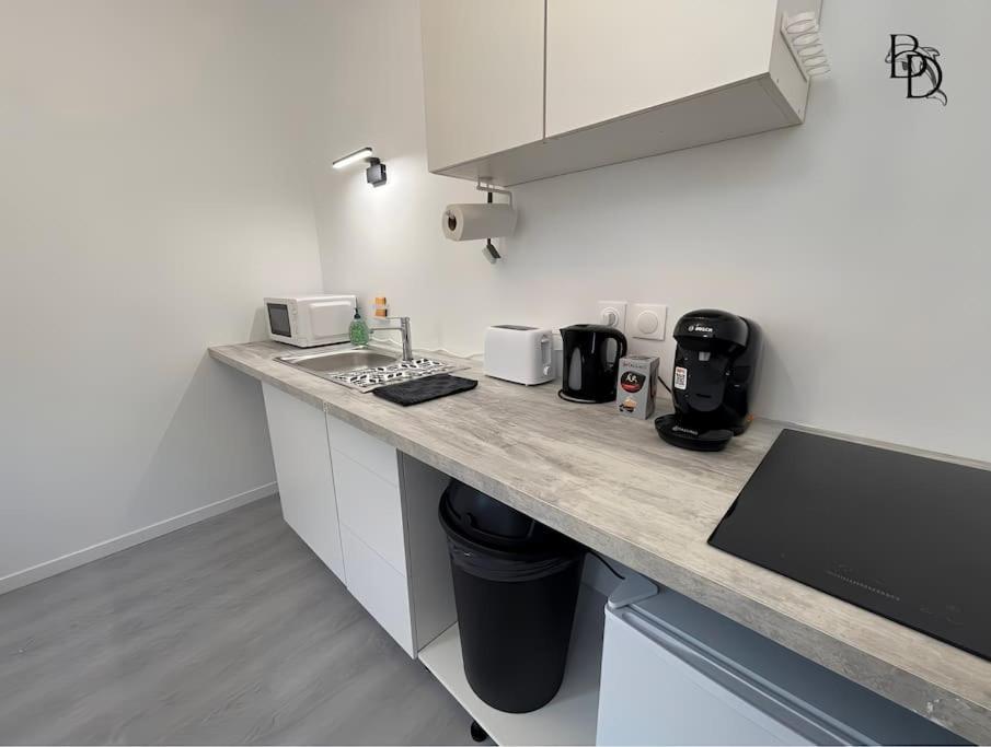 T1 Bis Appartement B3 30M2 Cosy 7Min A Pieds Des Gares 罗阿纳 外观 照片